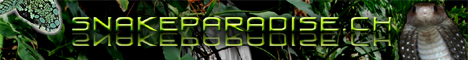 snakeparadise